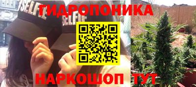 ГАЛЛЮЦИНОГЕННЫЕ ГРИБЫ Балаково