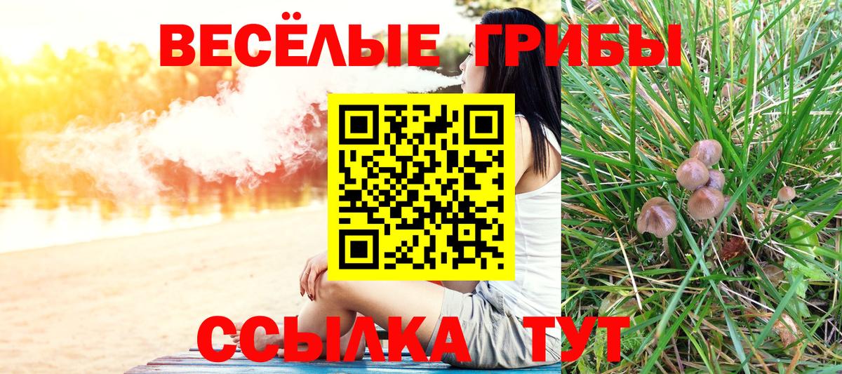 Псилоцибиновые грибы Magic Shrooms  Псилоцибиновые грибы прущие грибы  Вход с VPN  Дивногорск 